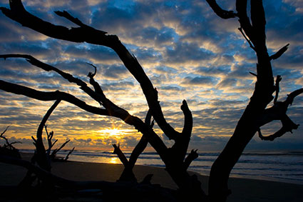 Boneyard Beach