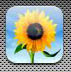 photo_icon