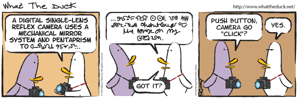 What The Duck