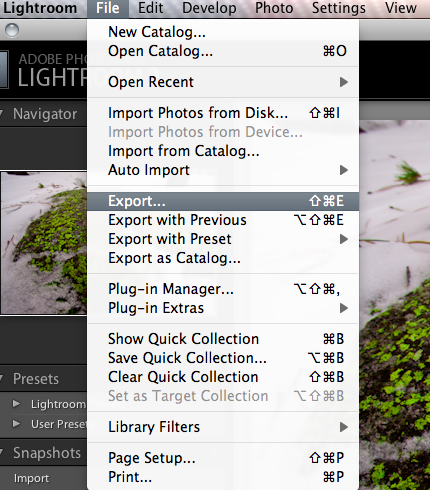 Open Export Dialog