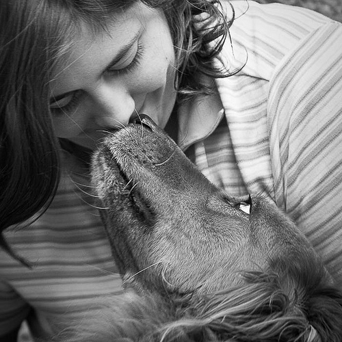 My favorites from 2009 My favorites from 2009