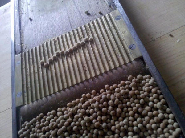 Making Pills of Ginger Making Pills of Ginger