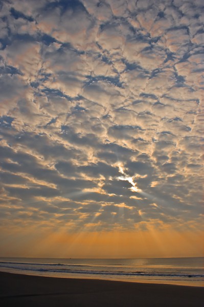 SC Sunrise