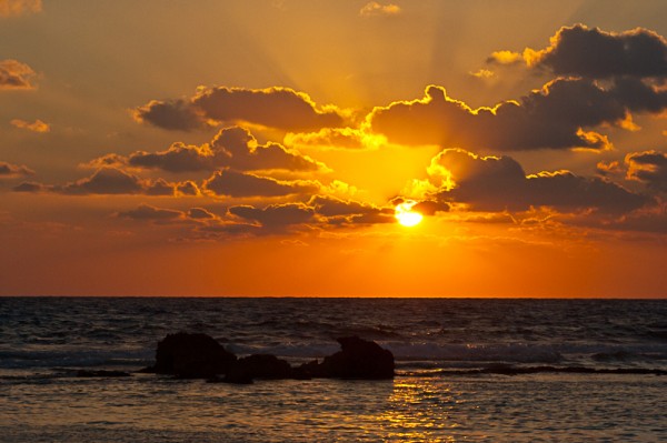 Mexican Sunrise