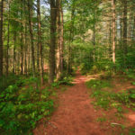 The Other Path... The Other Path...