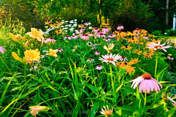 English Gardens 2