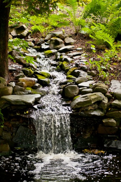 English Gardens 4