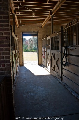 Stable Light Stable light