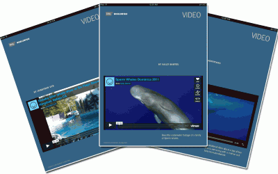 TRVL Magazine Videos TRVL Magazine Videos