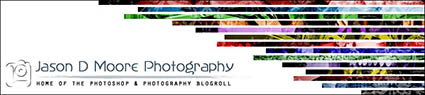 Jason Moore Header Jason D. Moore