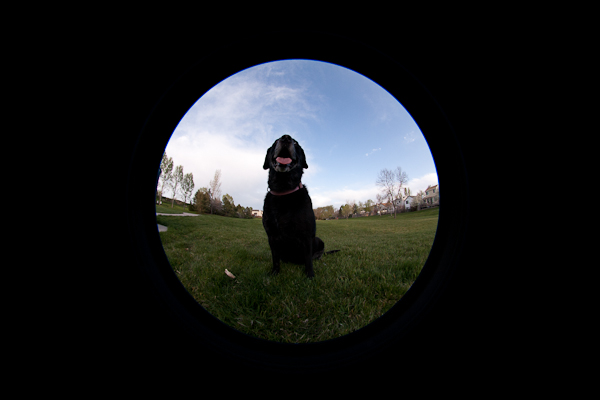 Maggie