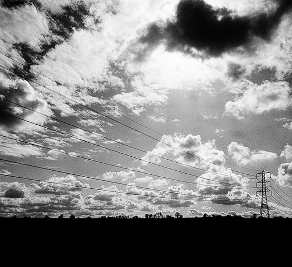 Flickr March